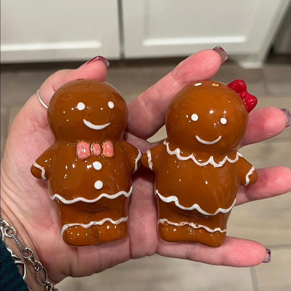 🫚Cute Gingerbread Sal & Pepper